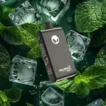 Fresh Mint 33