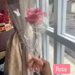 Botão de rosa tom rosa