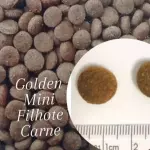 GOLDEN FILHOTE CARNE MINI BITS 1 KG