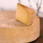 COMTÉ | 8 meses