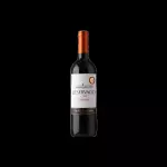 BOTELLA DE VINO STA CAROLINA RESERVA