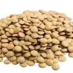 Lentilha