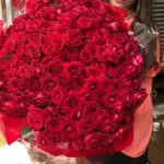 100 rosas vermelhas (Buquês Gigante)