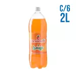 Convenção Laranja 2L C/6 🍊
