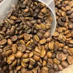 CAFÉ ESPECIAL TORRA MÉDIA