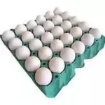 OVOS TIPO EXTRA GRANDE BRANCO
