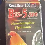 B12 5500
