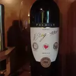 Tannat Premier H.Stagnari tinto