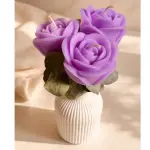 Soft roses