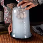 AVALANCHE