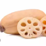 进口莲藕 lotus