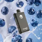 Blueberry Splash 33