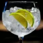 Gin  Tonica