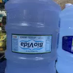 Galao 20L s/ vasilhame