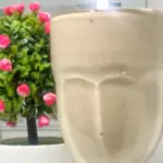 Shake Proteico Chokito
