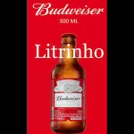 Cerv Budweiser 300ml Dinheiro ou Pix