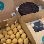 Kit Premium