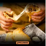 Empanada champiñon pollo queso