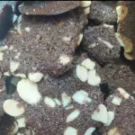 Biscoito Amêndoa c Café