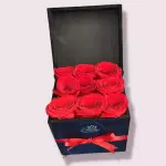 CAJA.048