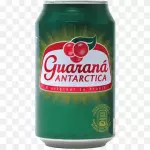 Guaraná antarctica