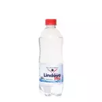 Água com gás 500ml
