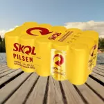FARDO SKOL 269 COM 15