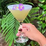 Givenchy drink