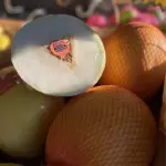 Melão Cantaloupe (Cépi)