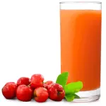 SUCO NATURAL ACEROLA 500 ML
