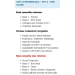 CNPJ INTERMEDIARIA TIPO 2 SEM SCORE