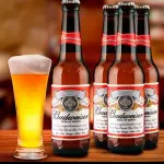 Budweiser Long Neck