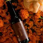 PRINCIPIA PAN DE MUERTO STOUT
