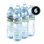 Agua Ciego Montero 1 L