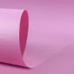 Cartolina