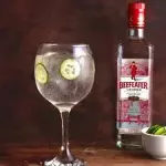 gin tonic