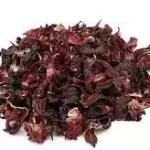 HIBISCO FLOR