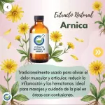 EXTRACTO HG ARNICA