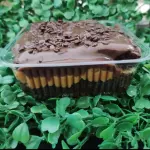 Bolo de Leite cond. cozido