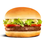 MC Fast 01