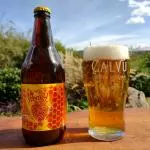 Calvú Honey Beer