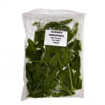 Hydroponic Basil Unid