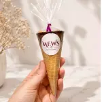 Cone Duo