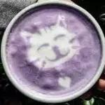 Taro Tea