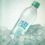 H2O 500ml