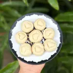 Bicoitinhos de Coco