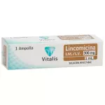 LINCOMICINA 300MG AMPOLLA