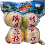 脆柿 persimo