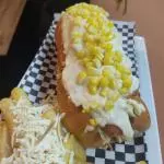 Perro campestre