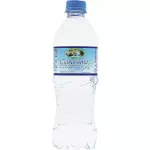 Água sem gás 510ml